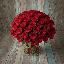 Букет 55 Красных роз Фридом #REPLACE_PRED# Ленинкенте
