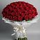Букет 101 Красная роза Блэк Мэджик в Ленинкенте