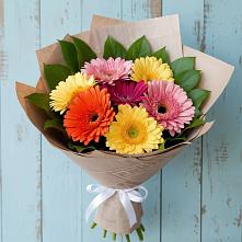Букет цветов из:  Герберы #REPLACE_PRED# Ленинкенте