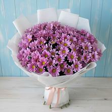 Букет цветов из:  Хризантемы в Ленинкенте