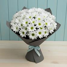 Букет цветов из:  Хризантемы в Ленинкенте
