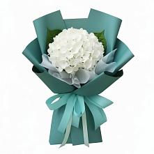 Букет цветов из:  Гортензия в Ленинкенте